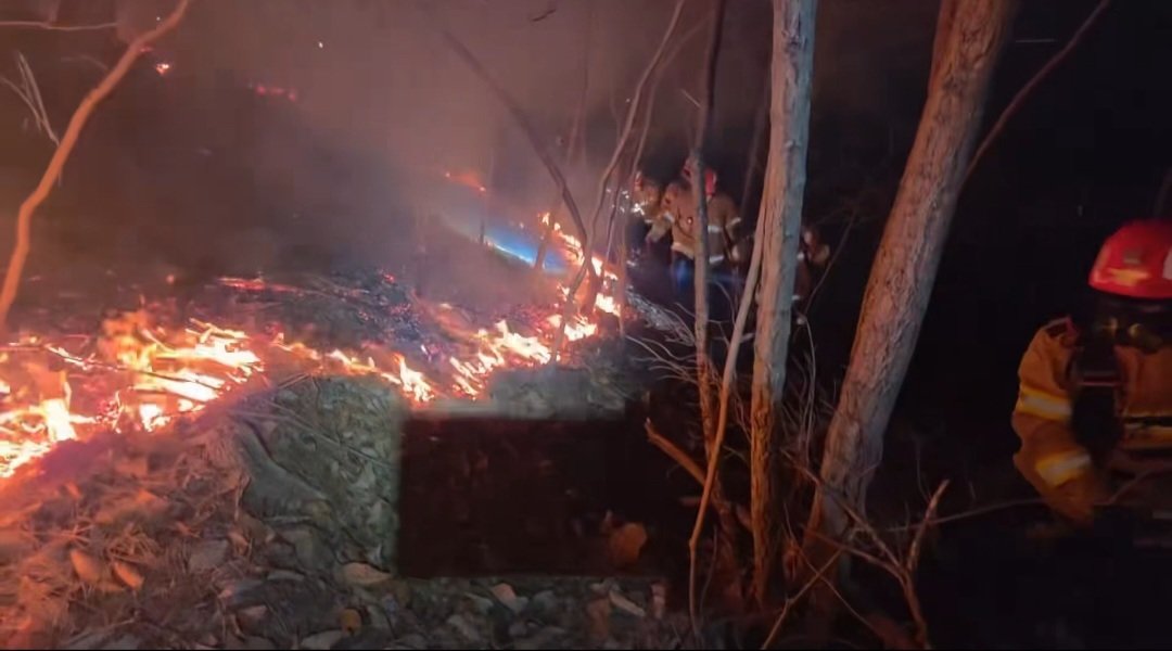 10일 오후 경북 의성군 의성읍 비봉리에서 발생한 산불의 주불이 진화된 가운데, 산림·소방 당국이 잔불 재발을 막기 위해 뒷불감시 작업을 벌이고 있다.(경북소방본부 제공) 2026.1.10/뉴스1