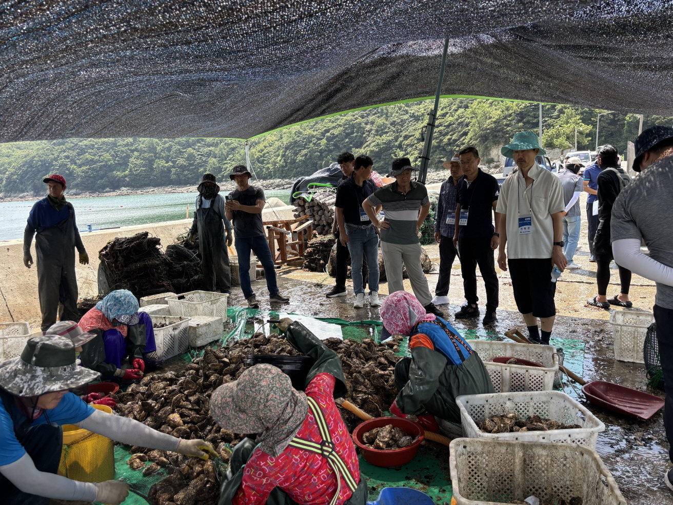 전남귀어학교 교육생들이 전복 양식 현장 실습에 참여해 전복 분류작업을 지켜보고 있다. 전남도 제공