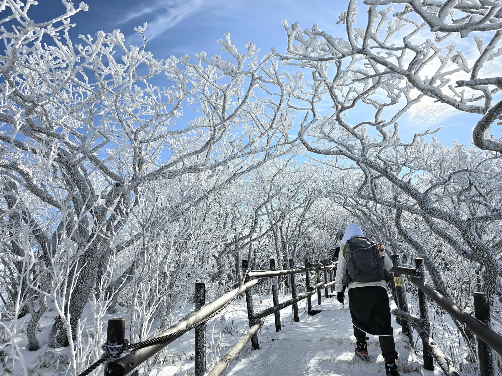 지난해 12월 31일 오후 전북 무주군 덕유산 향적봉 인근에서 등산객이 눈꽃 터널 사이로 지나가고 있다.(덕유산국립공원사무소 제공. 재판매 및 DB금지) 2025.12.31/뉴스1
