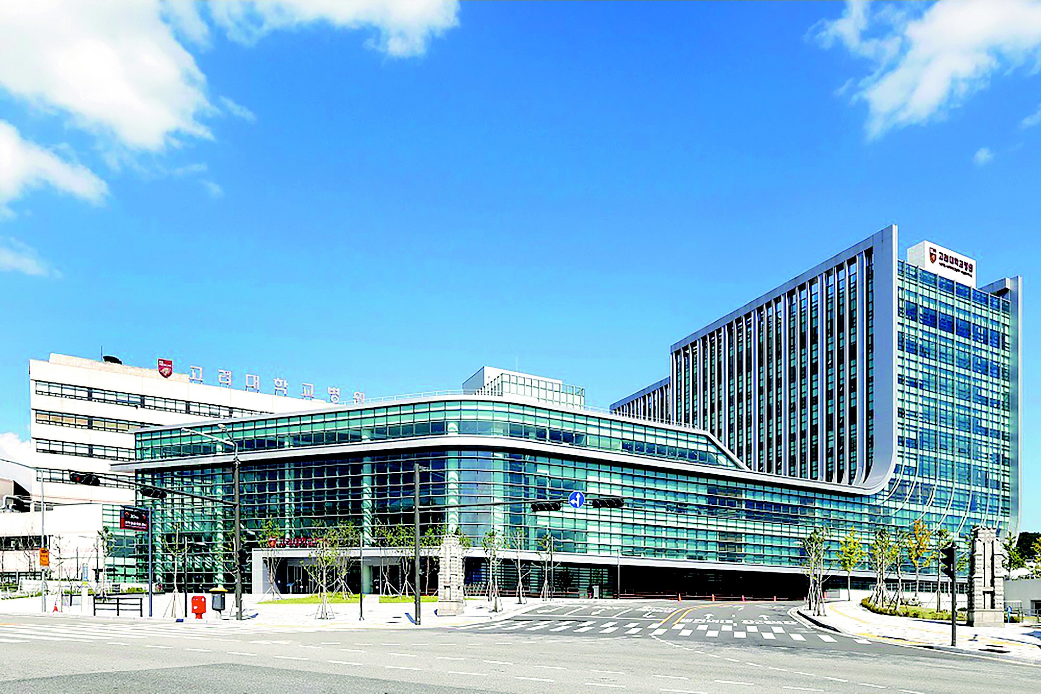 보건복지부는 그간 시범사업으로 운영해 온 급성기 정신질환자 집중 치료 활성화 사업을 올해부터 본사업으로 전환한다. 사진은 급성기 정신질환자 집중 치료병원으로 지정된 고려대 안암병원 전경. 고려대 안암병원 제공