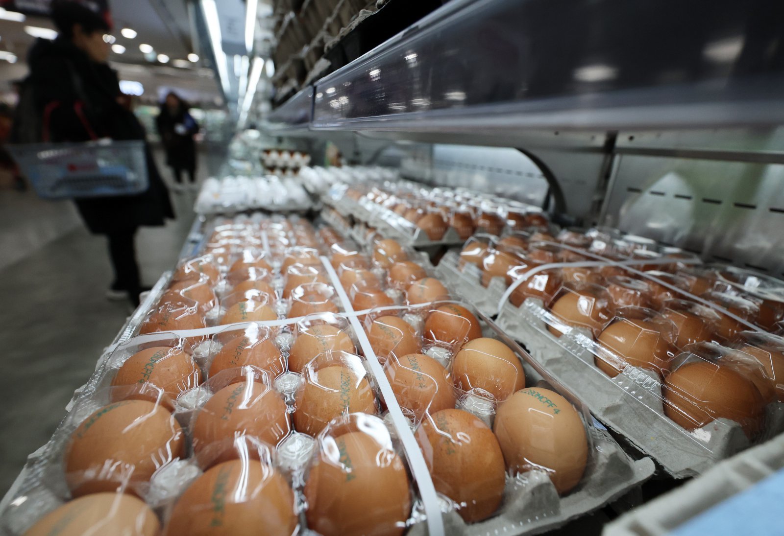 조류인플루엔자(AI) 확산 여파로 계란 한판 기준 소매가가 7천원을 넘어선 7일 오후 서울 시내의 한 대형마트에서 고객이 계란을 살펴보고 있다.  구윤철 부총리 겸 재정경제부 장관은 이날 민생경제관계장관회의를 주재하고 계란값 인상과 관련해 “신선란 224만개 수입 절차에 즉시 착수해 1월중 시장에 공급하고, 수급상황에 따라 계란 납품단가 인하도 추진하겠다”고 강조했다.  2026.01.07 뉴시스