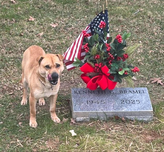 미국 켄터키주 메이슨 카운티 동물보호소가 지난 7일 페이스북을 통해 공개한 사진. 메이슨 카운티 동물보호소 페이스북