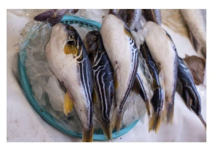 식품의약품안전처에 따르면 국내에서 식용 가능한 복어의 경우에도 알(난소), 간, 내장, 껍질 등에 테트로도톡신이 들어있으므로 보통 가정집에서 조리할 경우 매우 위험하다. 뉴시스 (식약처 제공)