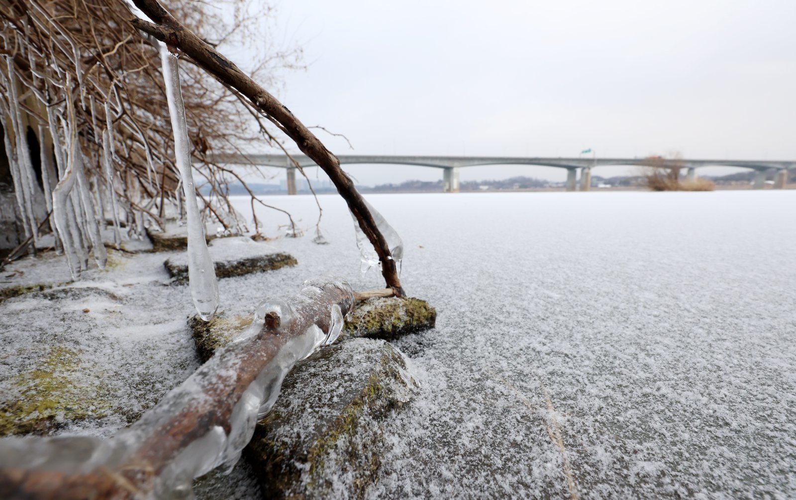 한파가 이어진 12일 경기 하남시 미사대교 인근 얼어붙은 한강 위로 눈이 쌓여 있다. 2026.01.12. 서울=뉴시스