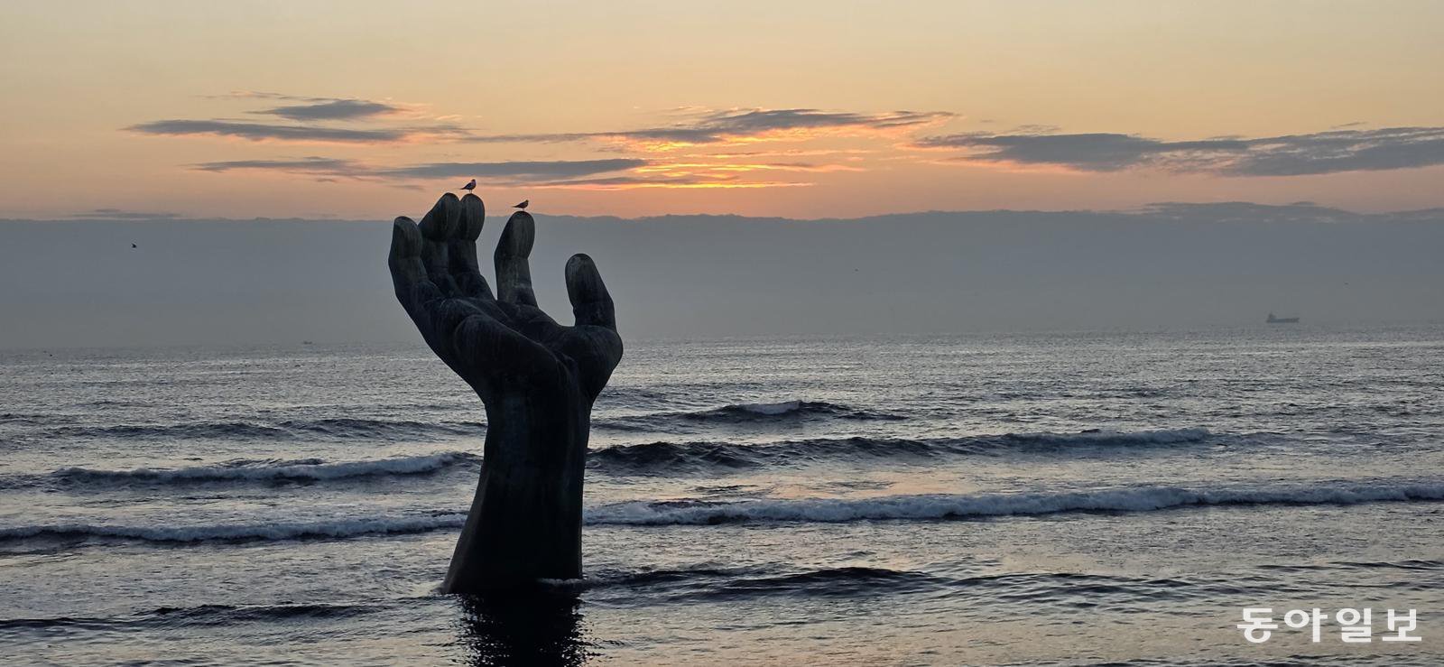 일출 직전 상생의 손 위에 갈매기들이 날아 앉았다. 포항=김선미 기자 kimsunmi@donga.com