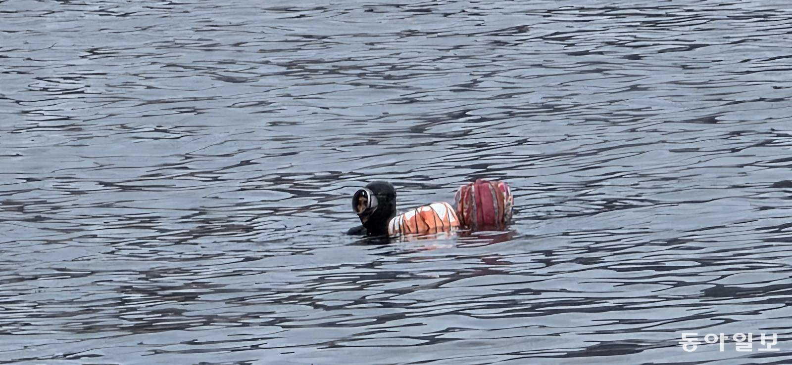 해녀의 물질. 포항=김선미 기자 kimsunmi@donga.com