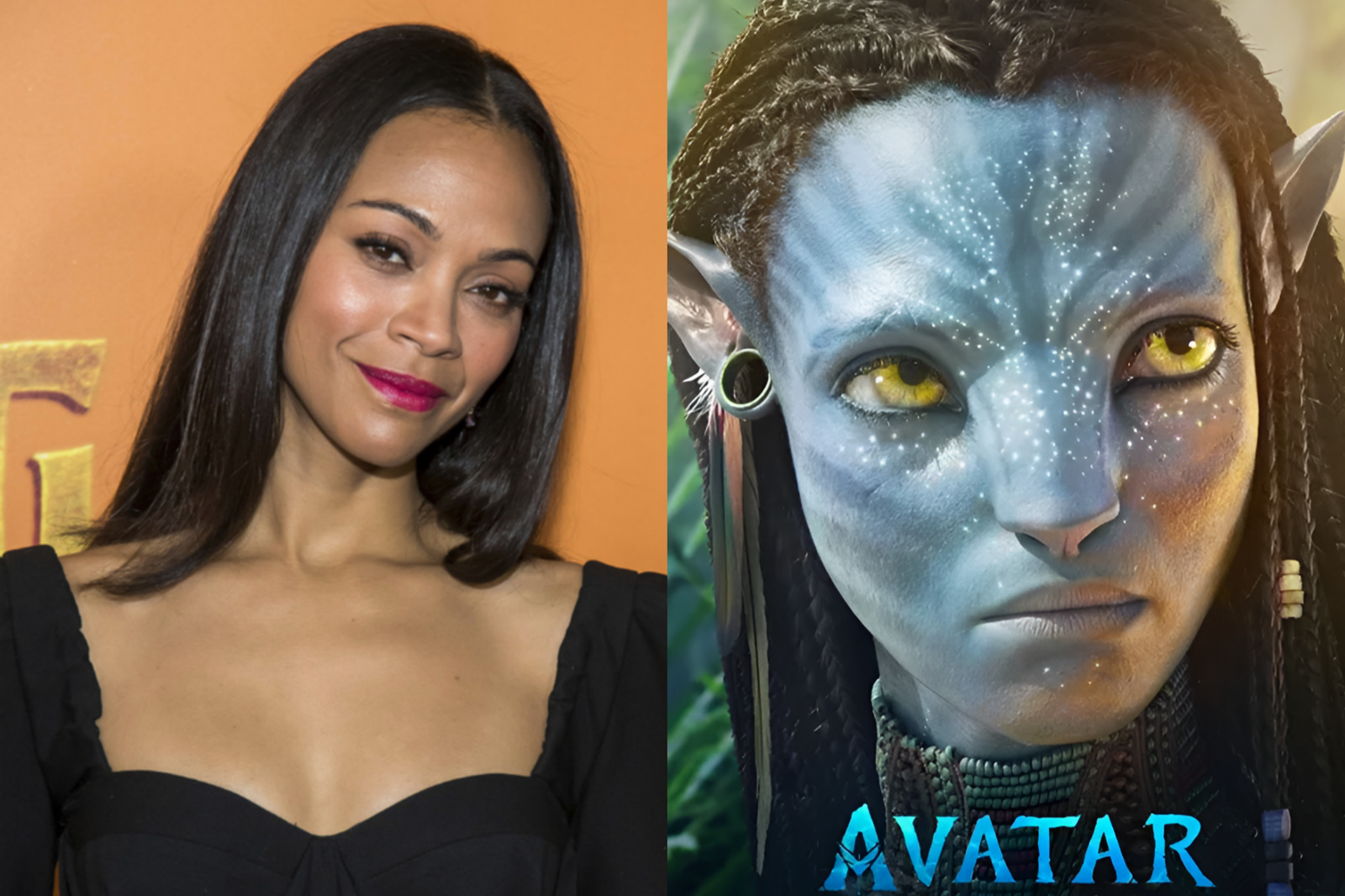 배우 조 샐다나가 모든 출연작 합산 수익 168억 달러를 기록하며 스칼렛 요한슨을 꺾고 역대 박스오피스 누적 수익 1위 배우에 등극했다. 뉴시스