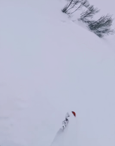 matteozilla 인스타그램