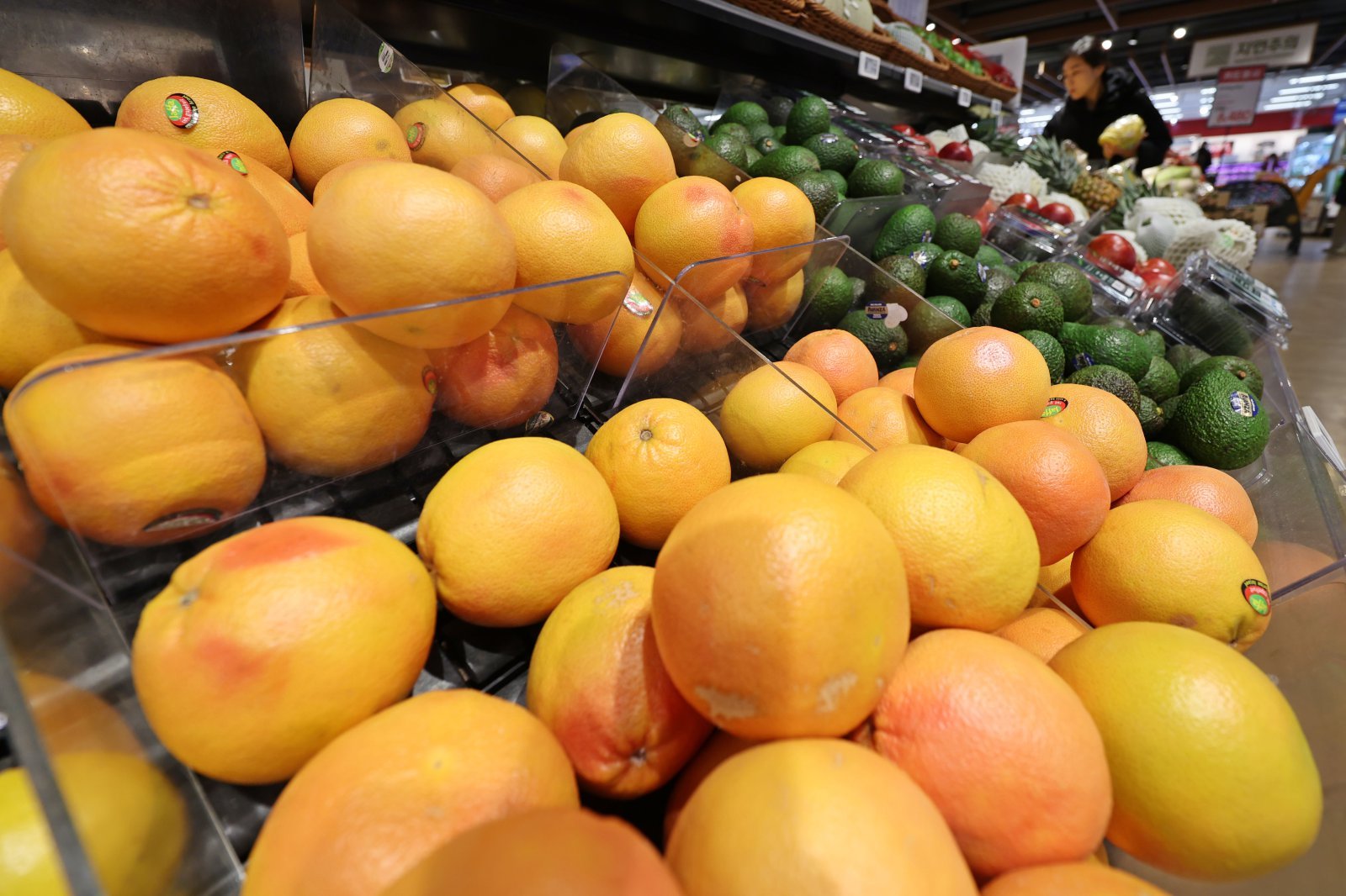 14일 서울시내 한 대형마트에 수입 과일이 진열돼 있다. 이날 한국은행이 발표한 ‘2025년 12월 수출입물가지수 및 무역지수(잠정)’에 따르면, 지난달 수입물가지수(원화 기준 잠정치·2020년=100)는 143.20으로 전월(141.47) 대비 0.7% 상승했다. 전년 동월 대비로도 0.3% 올랐다. 수입물가가 전월 대비 기준으로 6개월 연속 상승한 것은 2021년 5~10월 이후 가장 긴 상승 기간이다. 2026.1.14/뉴스1