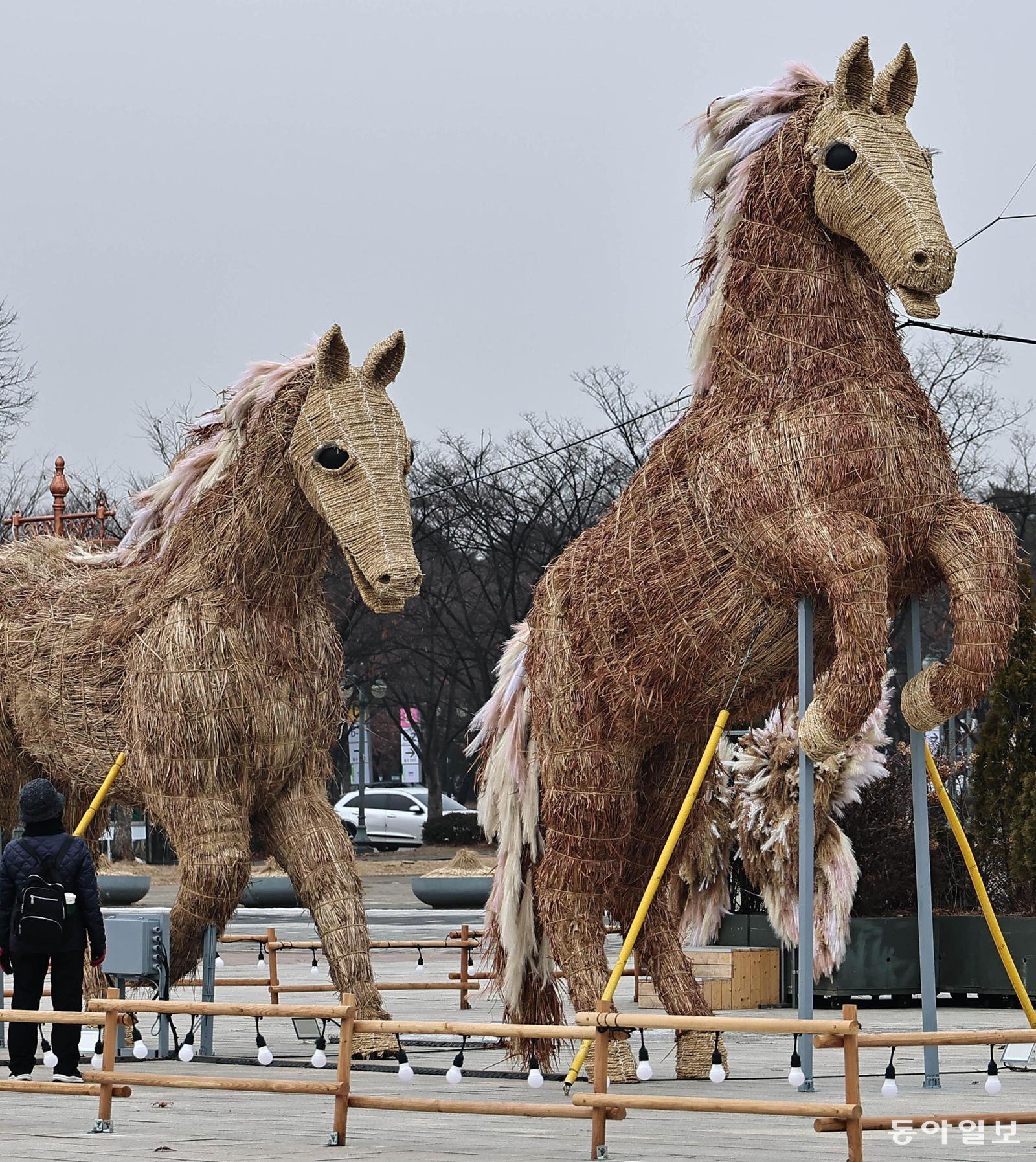 억새로 표현한 억센 말의 힘