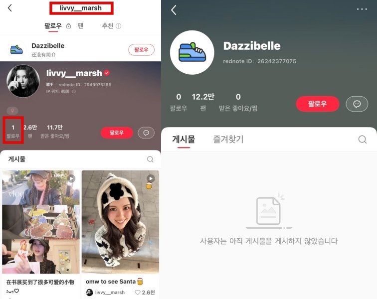 출처-중국 SNS/ 그룹 뉴진스 전 멤버 다니엘의 계정으로 추정되는 계정(오른쪽)