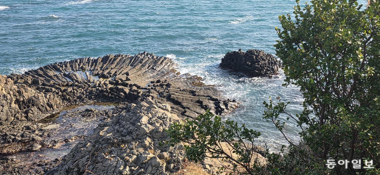 동해안의 지질명소 ‘경주양남주상절리군’ 중 부채꼴 주상절리.