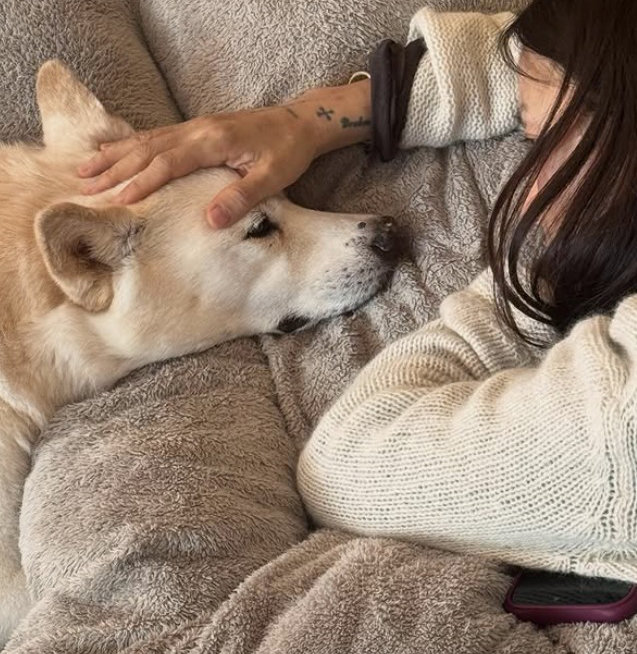 이효리 부부 “구아나가 떠났습니다”…15년 반려견과 작별