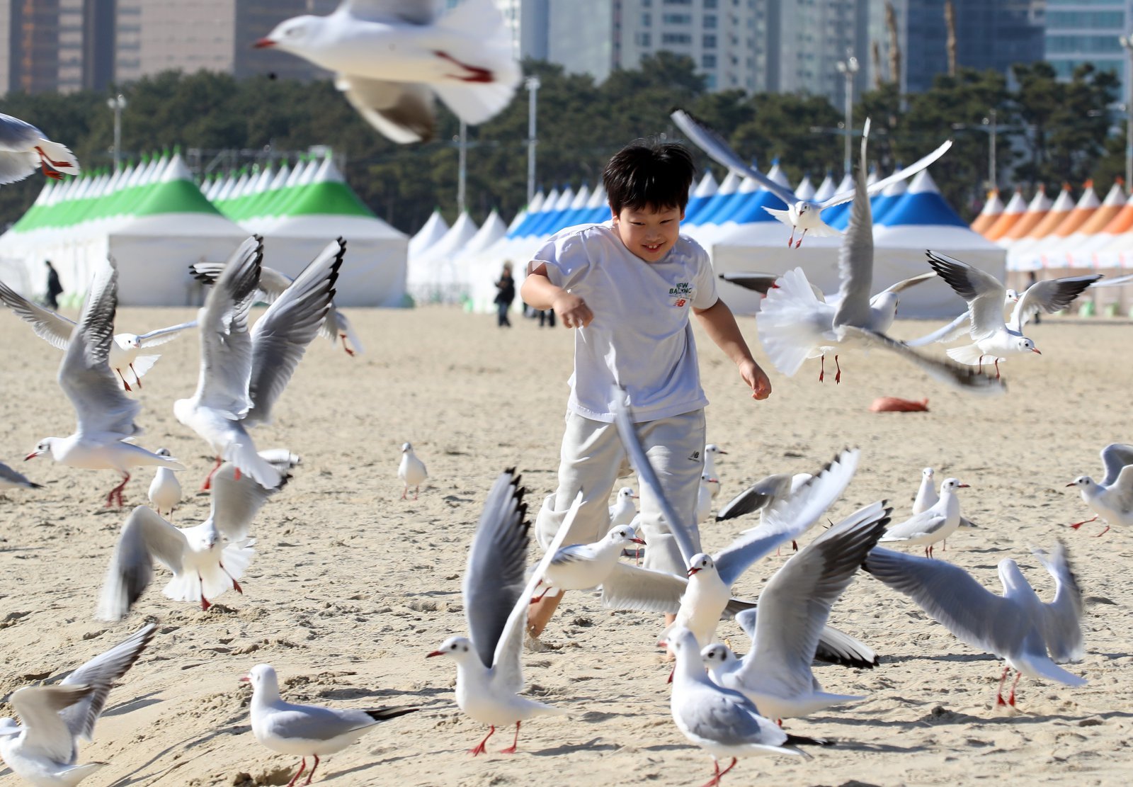 포근한 날씨를 보인 16일 부산 해운대해수욕장에서 반팔 차림을 한 어린이가 갈매기의 군무를 보며 즐거운 시간을 보내고 있다. 2026.1.16 뉴스1