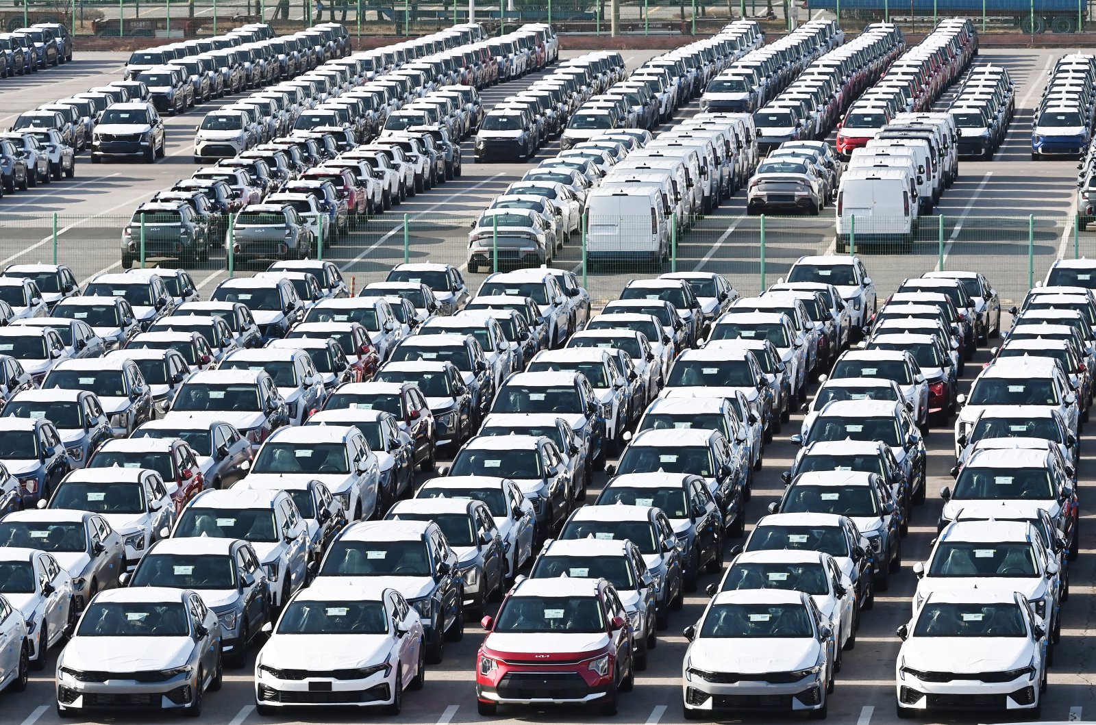 사진은 14일 경기 평택시 포승읍 평택항 자동차 전용부두에 수출용 차량이 세워져 있는 모습. 2026.01.14. 뉴시스