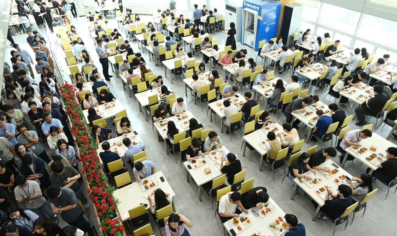 지난해 7월 14일 경기 용인시청 구내식당에서 직원들이 점심식사를 하고 있다. 2025.07.14 뉴시스