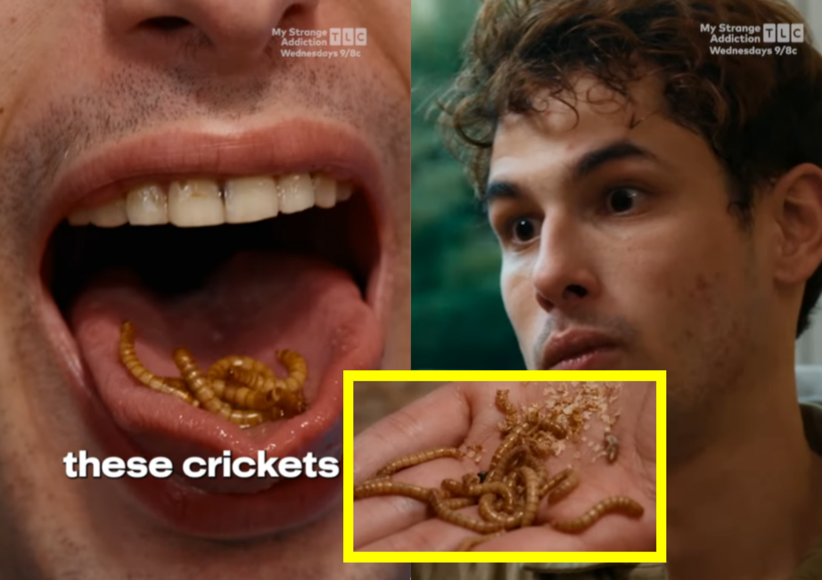 사진=인스타그램 @tlc