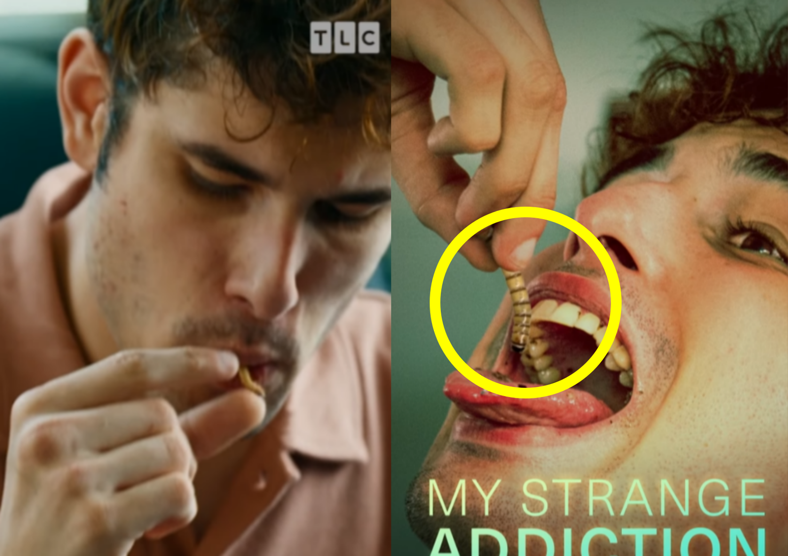 미국의 한 남성이 연간 3만 마리의 살아있는 곤충을 날것으로 섭취해 충격을 주고 있다. 사진=인스타그램 @tlc