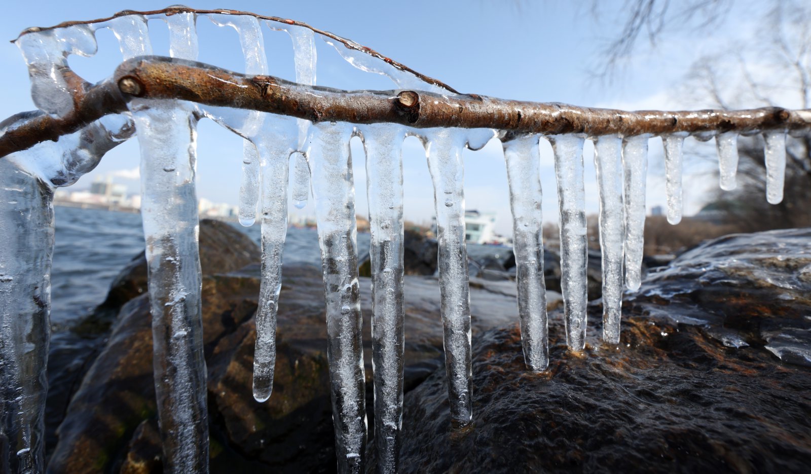 영하권의 낮 기온을 보인 19일 서울시 영등포구 한강변에 고드름이 열려 있다. 한편 기상청은 대한인 20일 서울 기온이 영하 13도까지 곤두박질해 올겨울 들어 가장 낮은 기온을 보이는 등 이번 주 내내 긴 한파가 이어질 것으로 예보했다. 2026.1.19/뉴스1