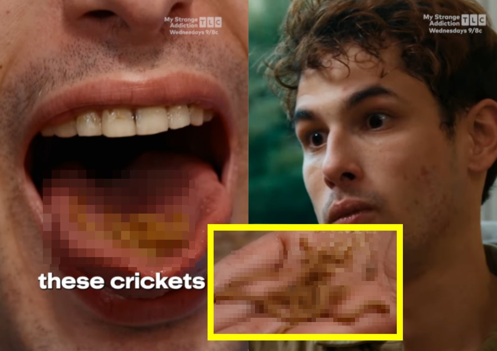 사진=인스타그램 @tlc