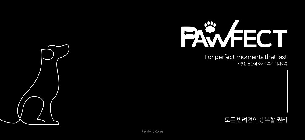 이미지=포펙트코리아 제공