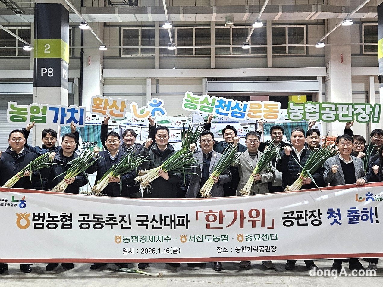 농협, 대파 신품종 ‘한가위’ 첫선