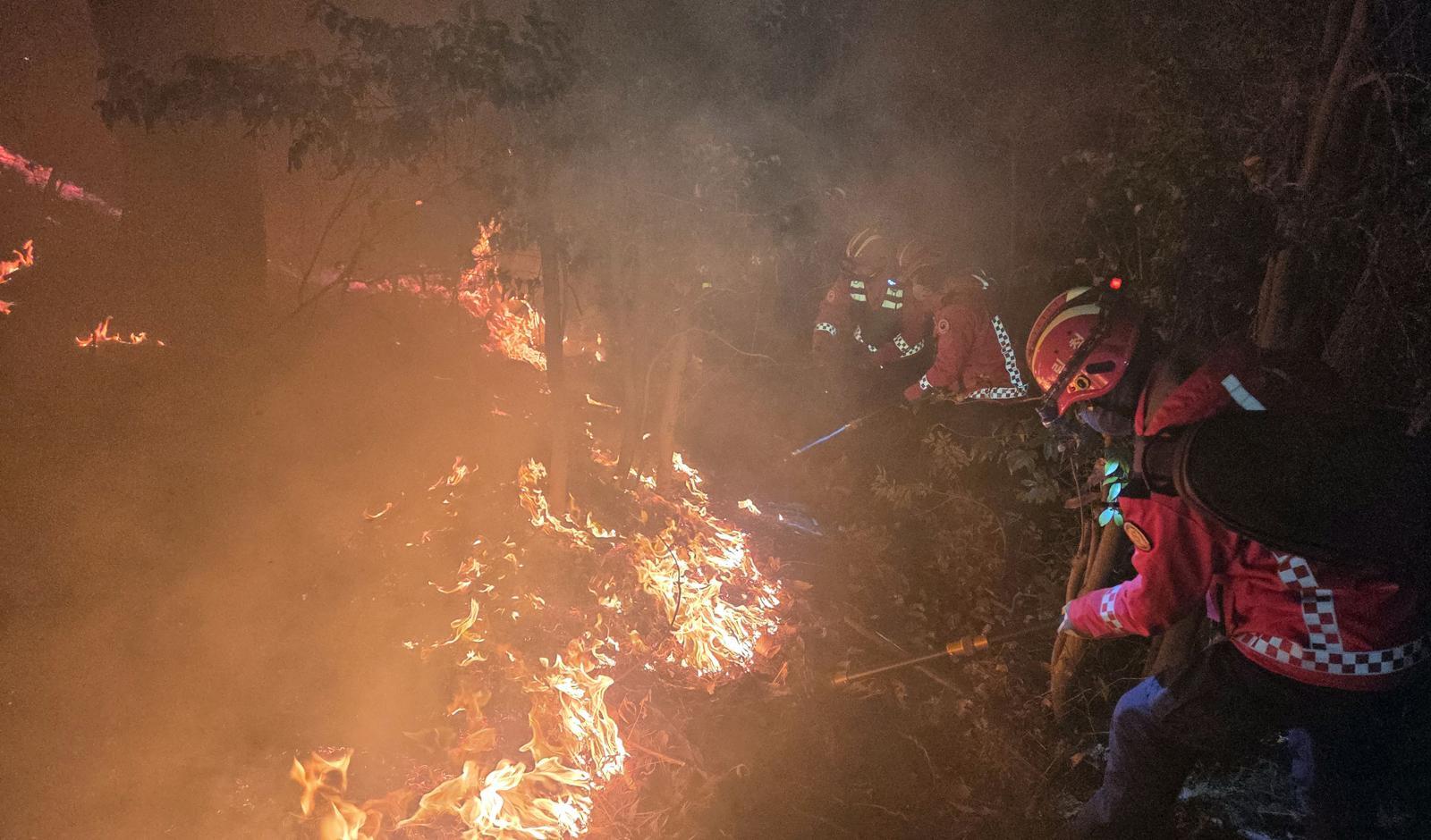 21일 부산 기장군 산불 현장에서 산림청 산불특수진화대가 밤샘 진화작업을 펼치고 있다. 산림청 제공