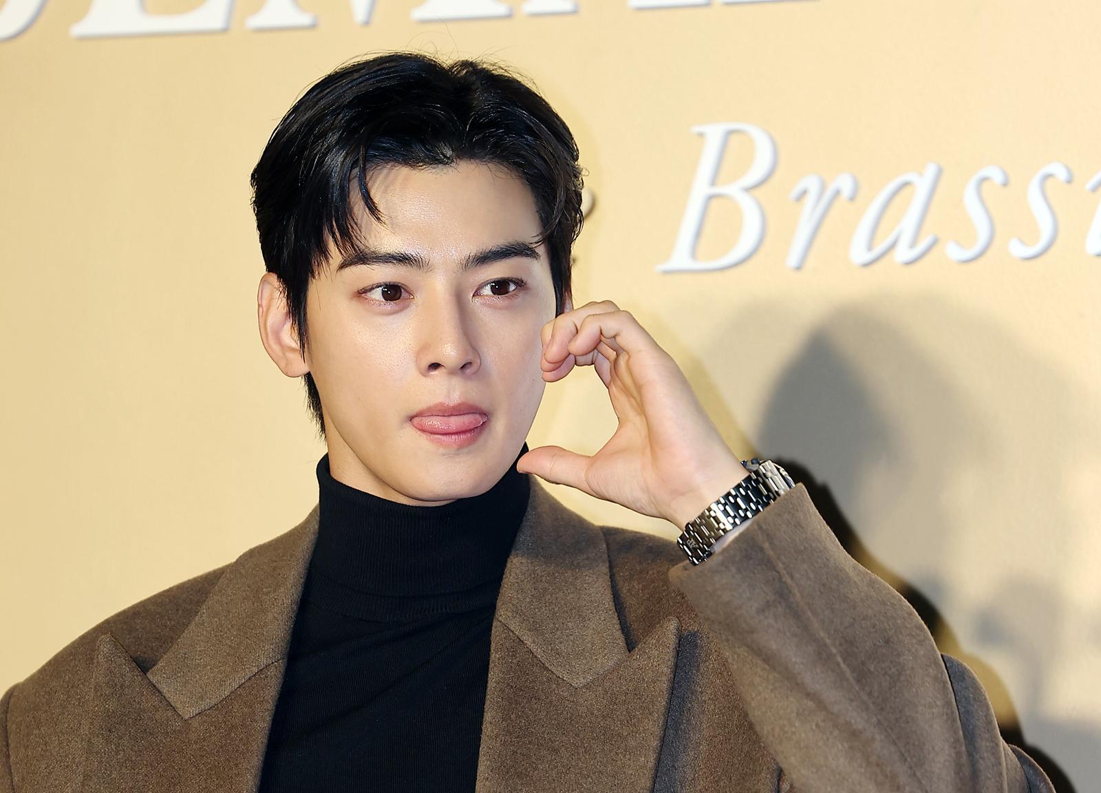 가수 겸 배우 차은우. 2024.11.22/뉴스1