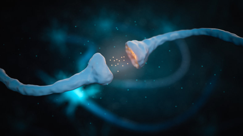 사진=게티이미지코리아.