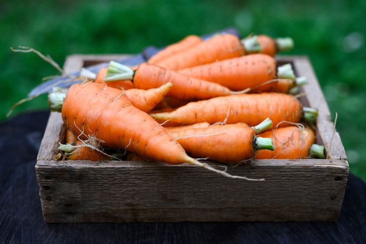 “추울수록 맛있어” 면역력 쑥 올리는 영양사 픽 ○○ [알쓸톡]