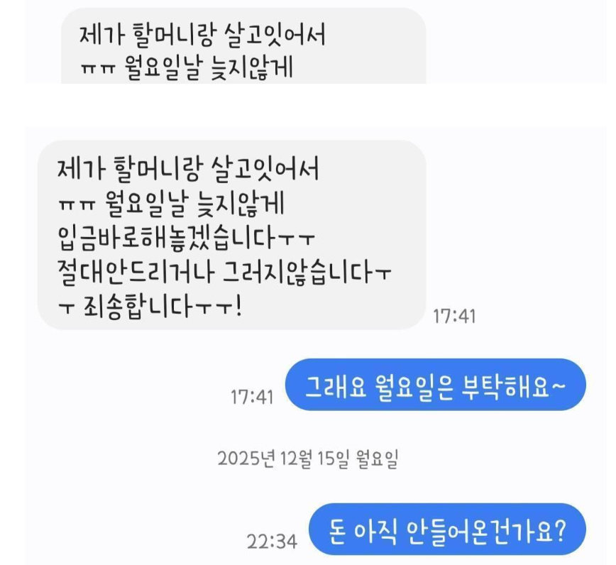 분식집 사장과 돈을 빌려간 남성이 나눈 문자. 보배드림