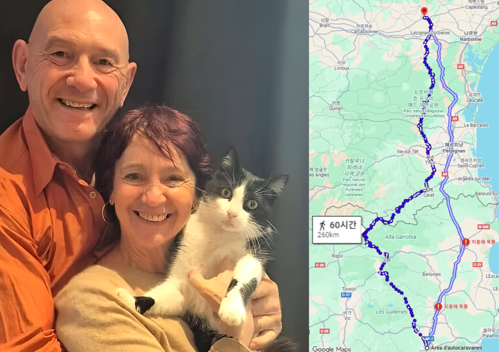 스페인에서 실종된 반려묘가 5개월 동안 260km를 이동해 프랑스 집 근처에서 마이크로칩 확인을 통해 극적으로 발견됐다. 사진=뉴스1, 구글 맵 캡쳐