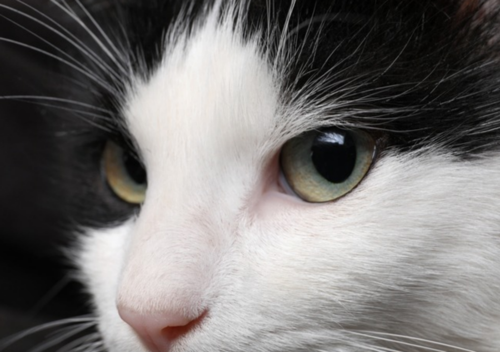 사진=게티이미지