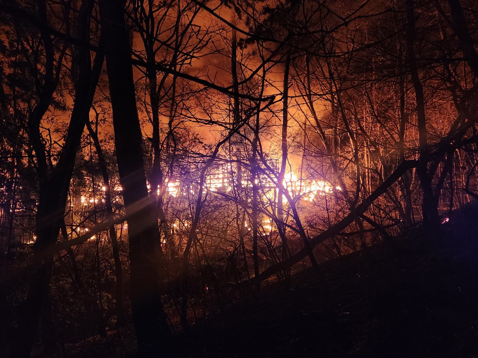 21일 오후 부산 기장군 기장읍 청강리의 한 공장에서 불이 나 인근 야산으로 번져 산불이 확대되고 있다. 2026.1.21 부산소방재난본부 제공