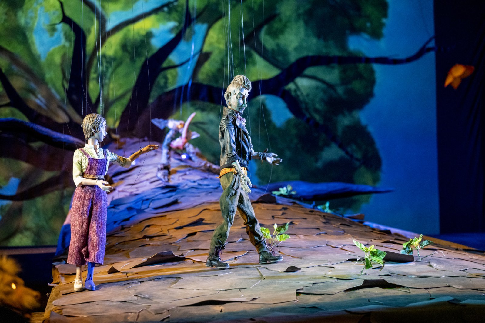 모차르트 위크(Bernhard Mueller 제공)