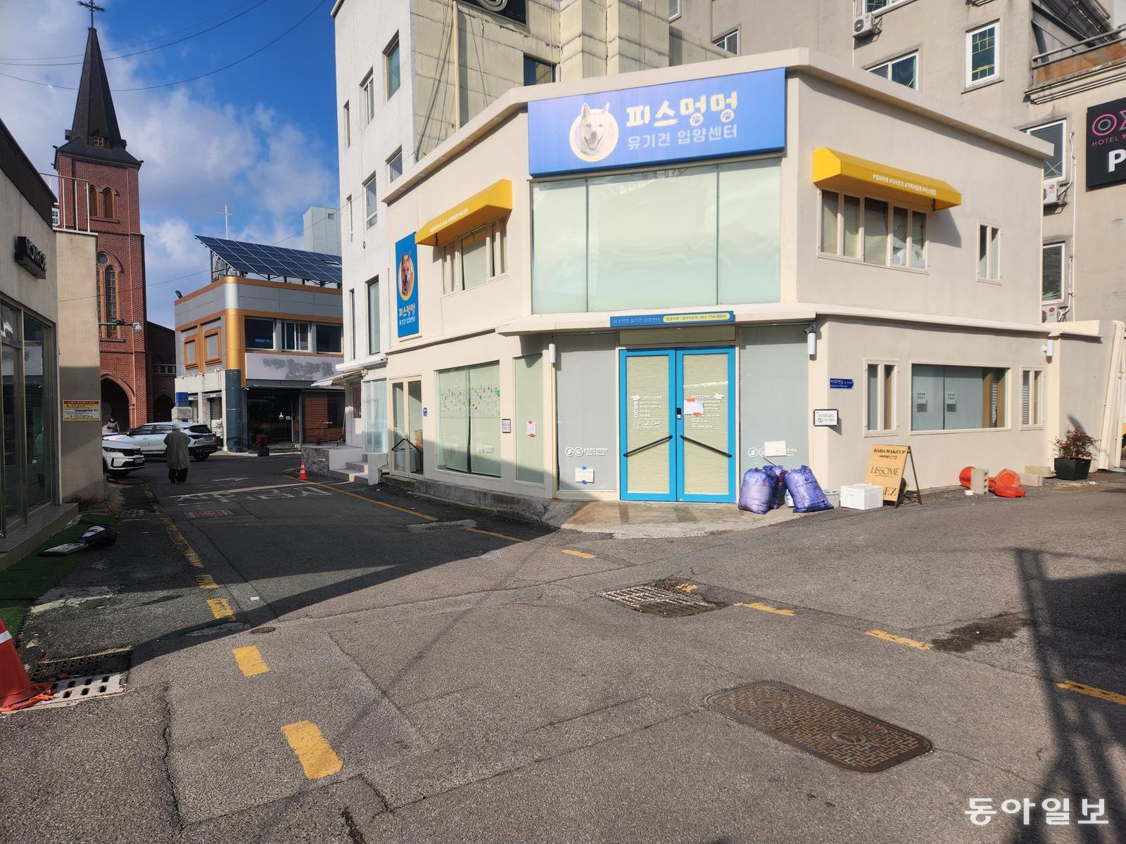 광주 유기견 입양센터 ‘피스멍멍’, 6개월 만에 방문객 3000명 넘어