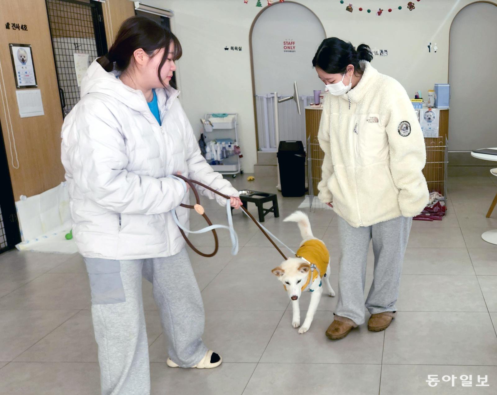 고향사랑기부로 유기견에 새 삶 선물