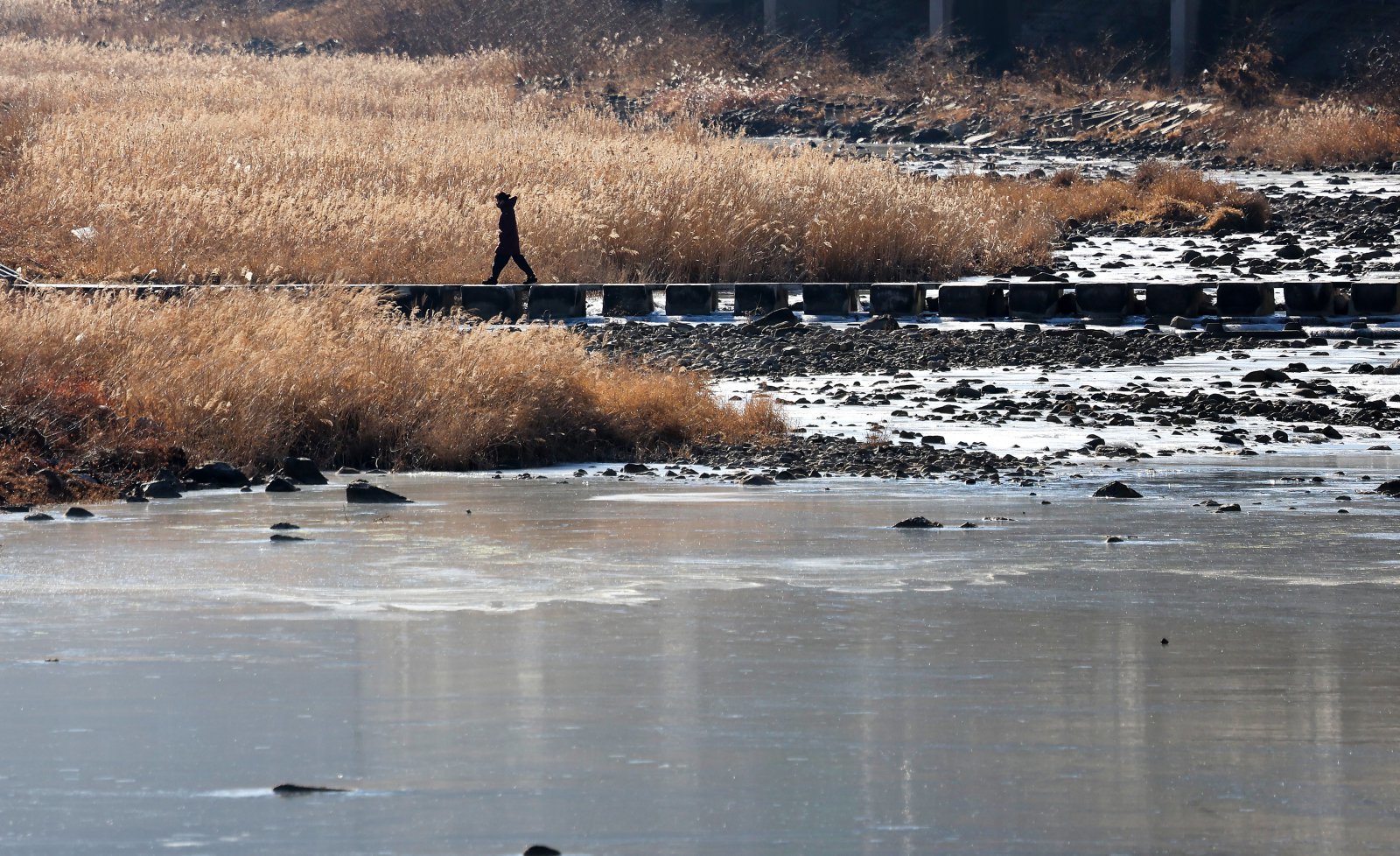 연일 강추위가 이어지고 있는 22일 대구 수성구 용두교 일대 신천이 얼어붙어 있다. 2026.01.22. [대구=뉴시스]