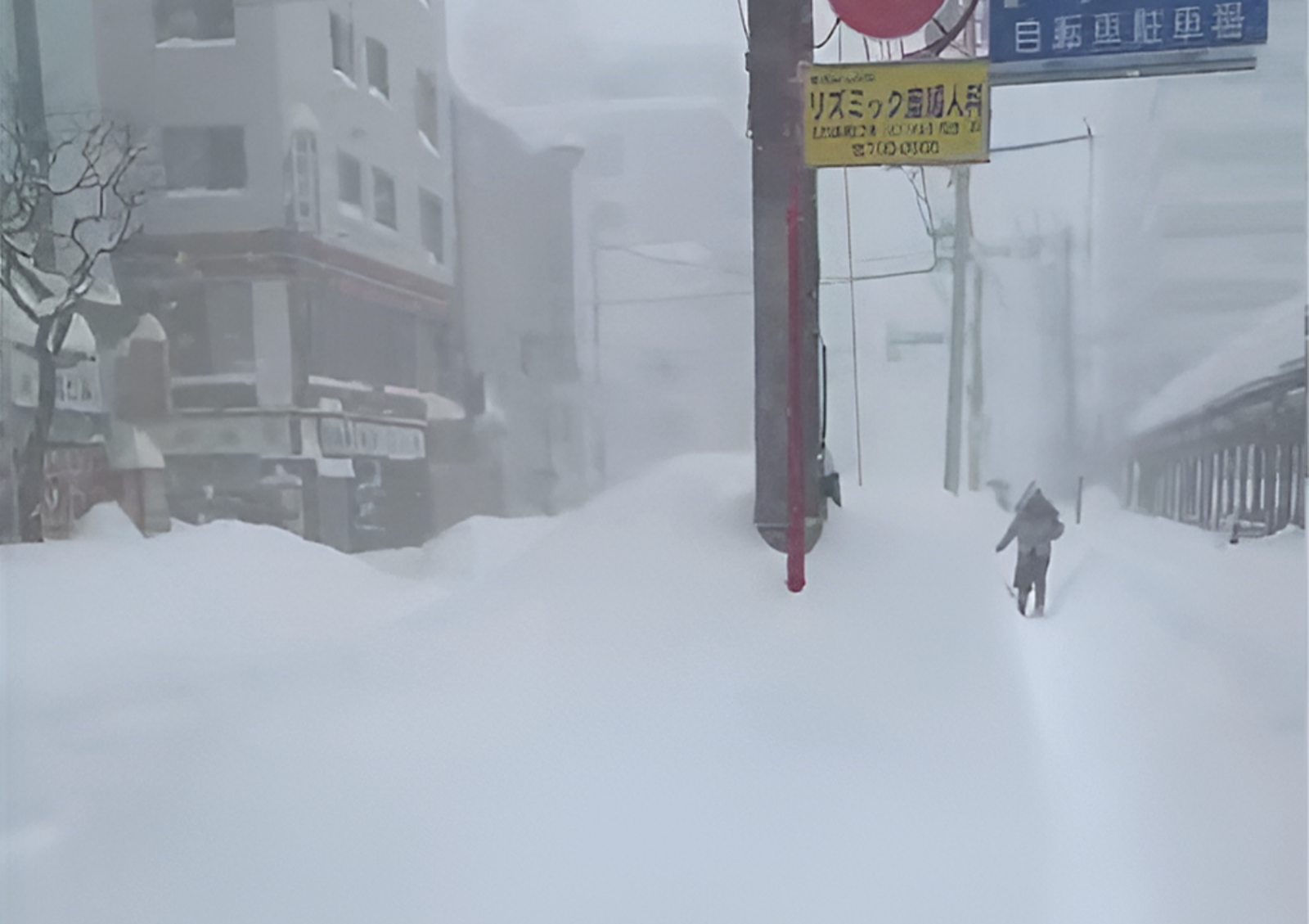 사진=X @volcaholic1