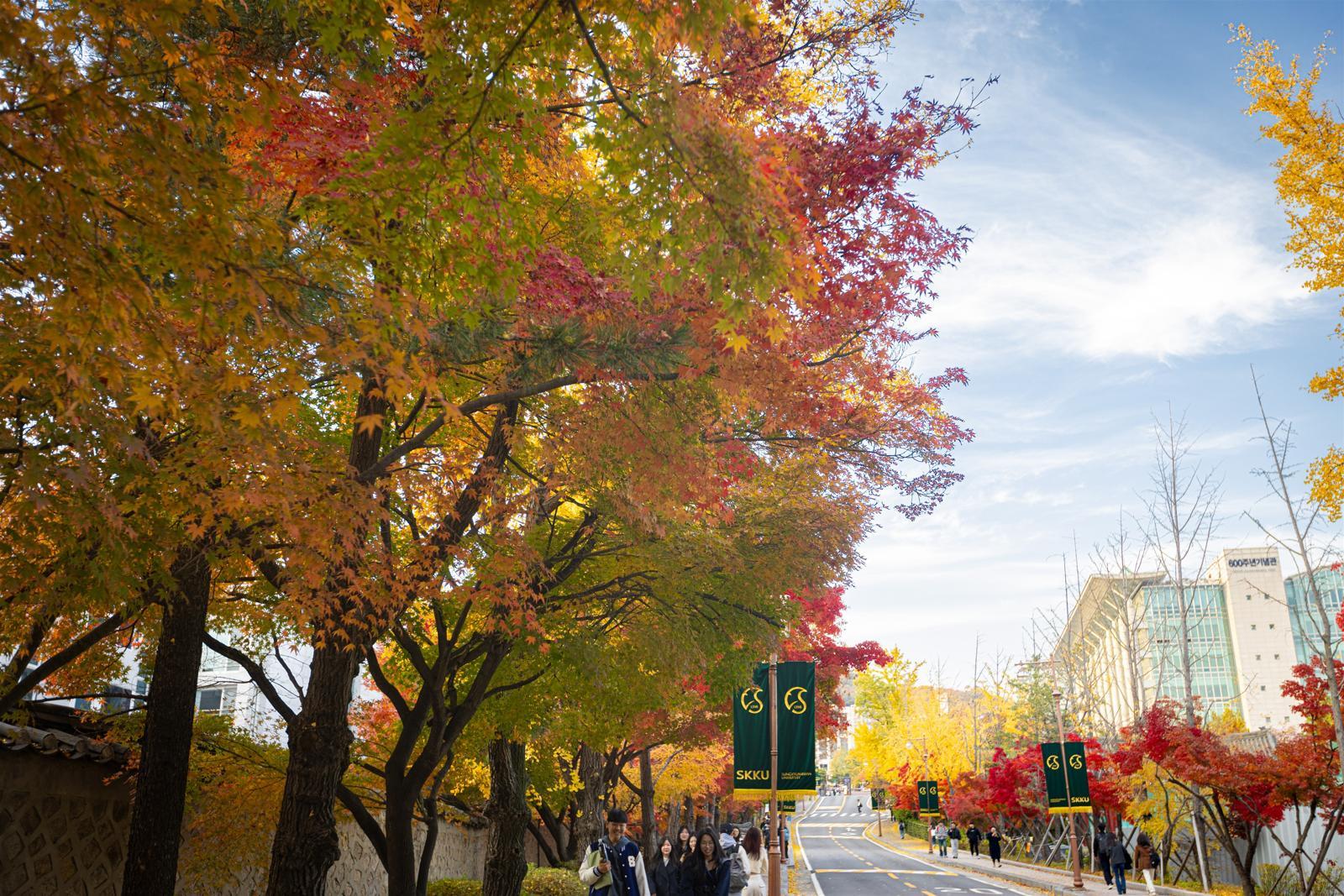 성균관대 전경. 사진 출처=성균관대학교