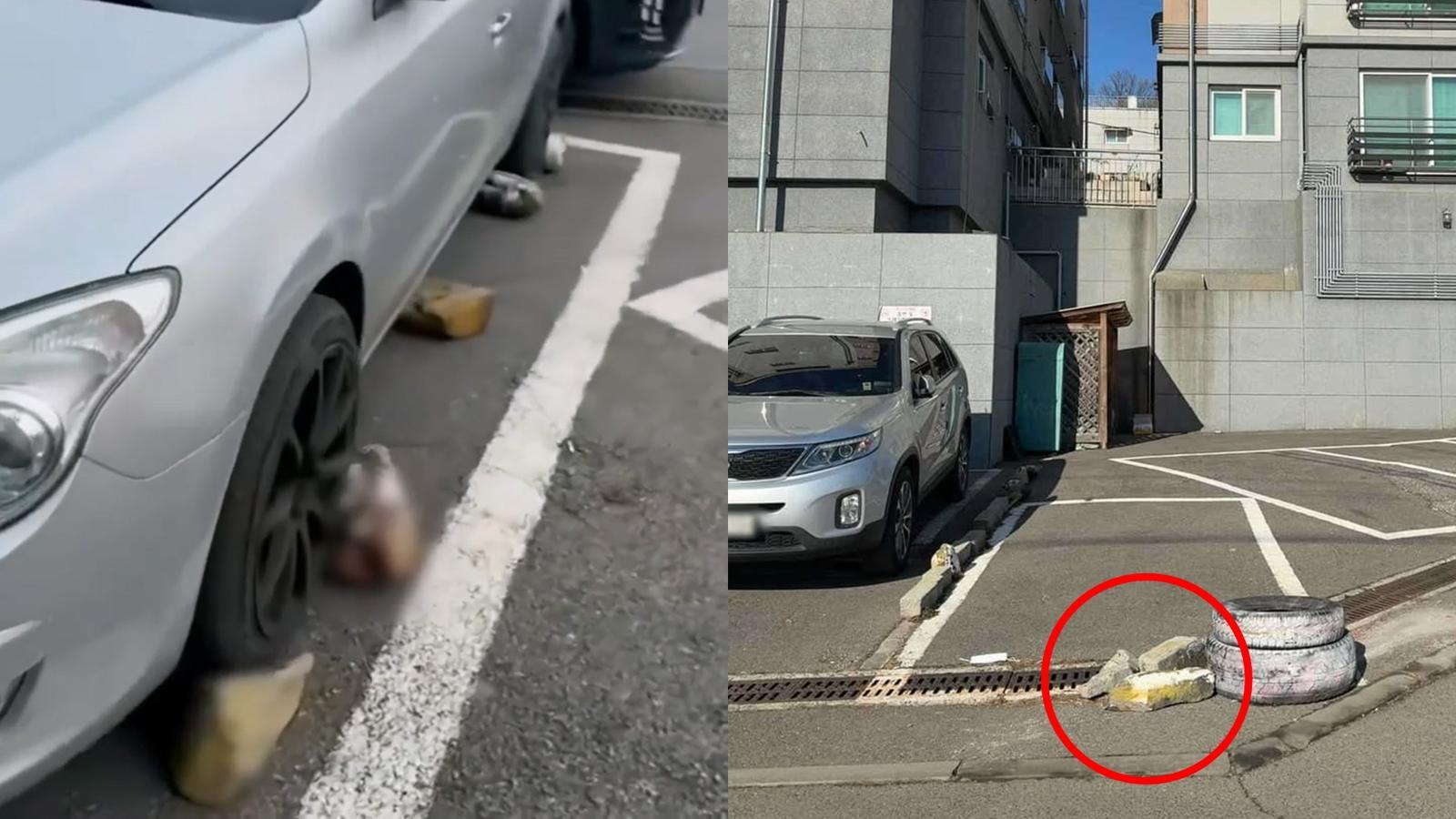 빌라 공동 주차장을 독점하기 위해 바닥에 돌을 고정해 이웃 차량의 통행을 막은 주민의 사연이 알려져 누리꾼들의 공분을 사고 있다. 보배드림 갈무리