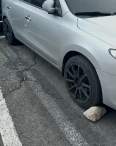 A 씨가 공개한 영상. 보배드림 갈무리.