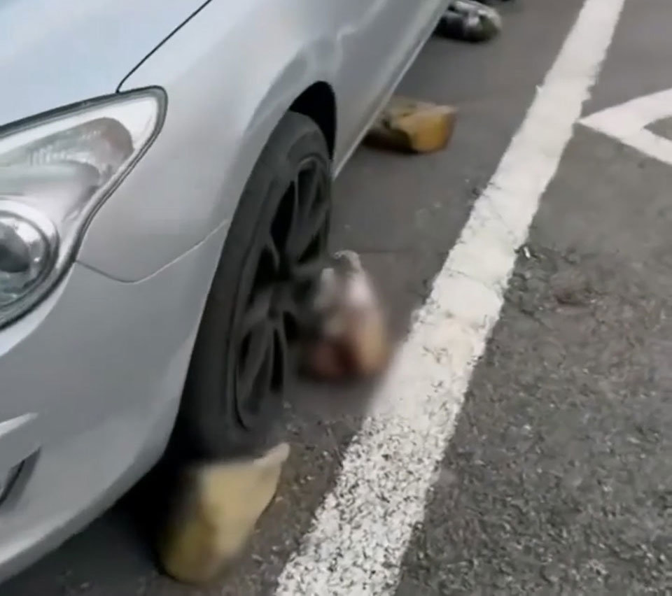 빌라 공동 주차장을 독점하기 위해 바닥에 돌을 고정해 이웃 차량의 통행을 막은 주민의 사연이 알려져 누리꾼들의 공분을 사고 있다. 보배드림 갈무리