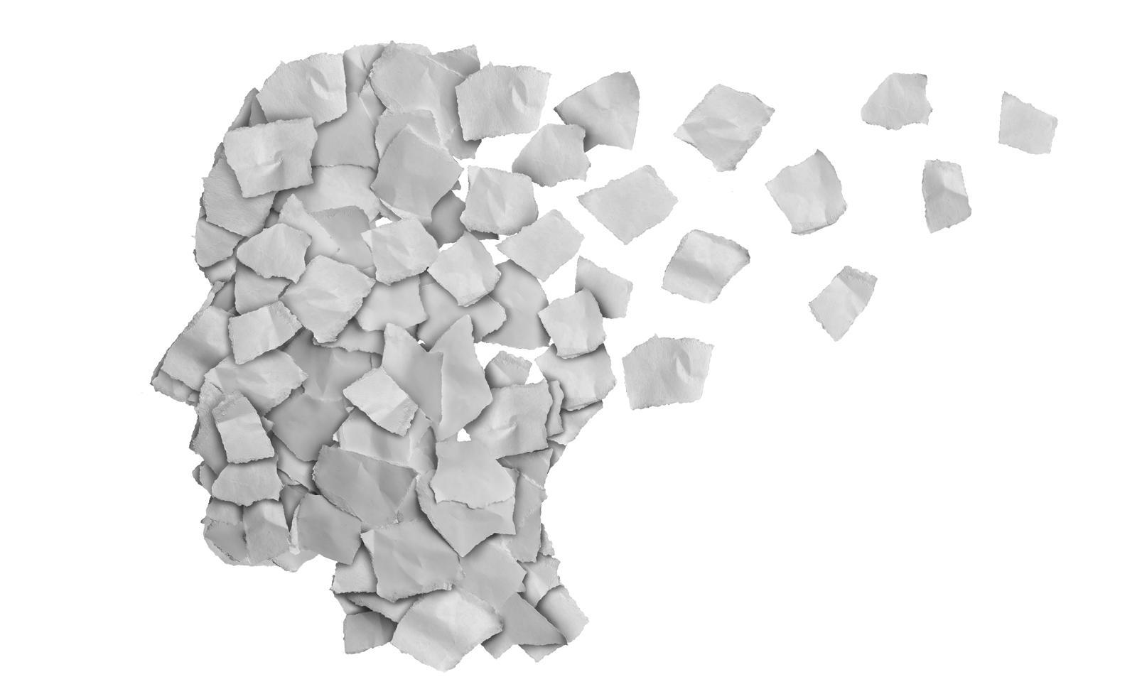 기억력과 인지 기능은 뇌 신경세포 간의 원활한 신호 전달에 의해 유지된다. 노화가 진행되면 뇌세포막 내 포스파티딜세린의 함량이 감소하고 이로 인해 신호 전달 효율이 떨어지면서 기억력과 인지 기능 저하가 나타난다. 게티이미지뱅크