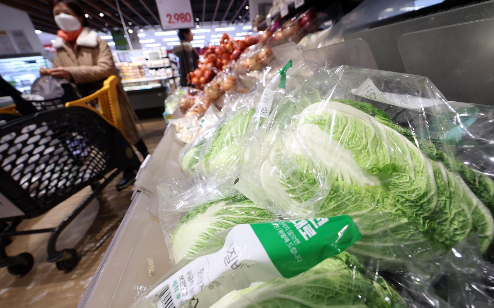 구윤철 경제부총리 겸 재정경제부 장관은 설 명절을 앞두고 “먹거리 물가를 중점 관리하겠다”며 성수품을 역대 최대인 27만t 공급하고, 소상공인·중소기업을 위한 명절 자금 39조3000억원도 투입하겠다“고 밝혔다.  특히 정부 할인지원에 역대 최대 규모인 910억원을 투입해 배추·무·고등어 등 성수품을 최대 50% 할인 지원한다는 계획이다. 사진은 이날 서울 한 대형마트에 판매되는 배추. 2026.1.27/뉴스1