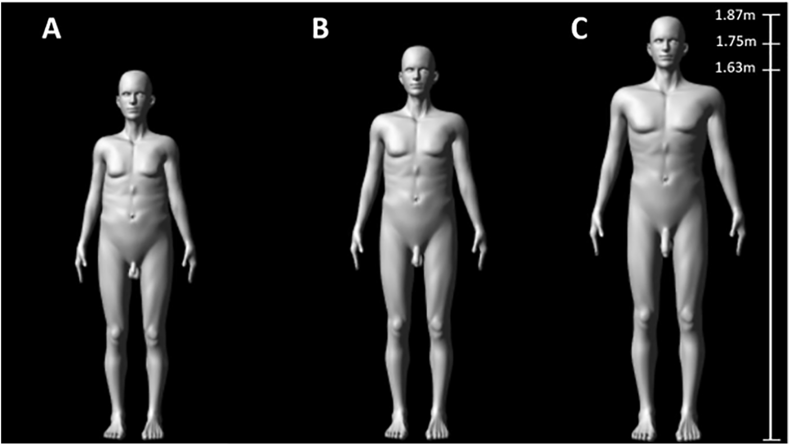 연구에 사용된 컴퓨터 생성 남성 이미지 예시. ‘PLOS Biology’ 발췌.