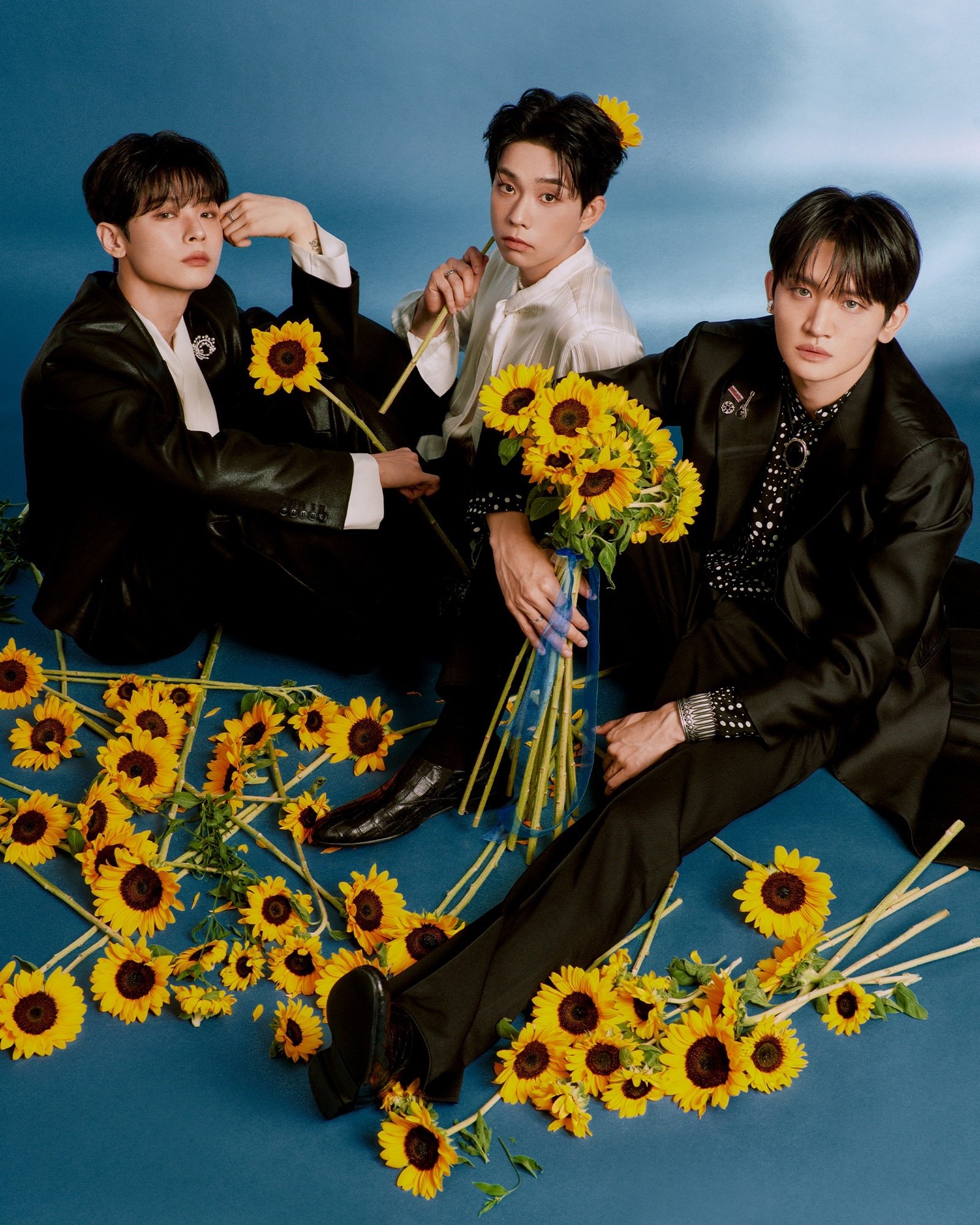 미스틱스토리 제공