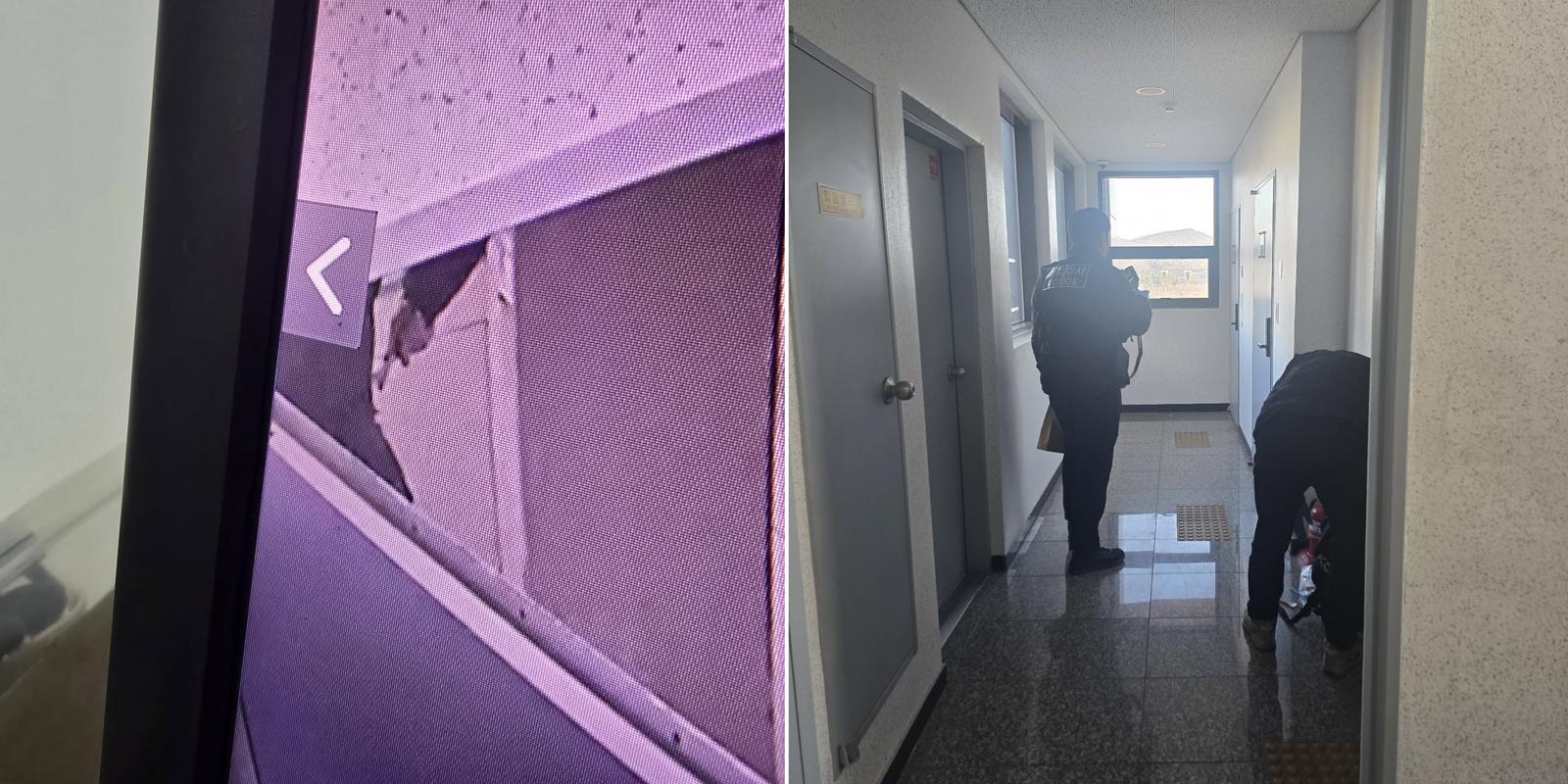 패딩 차림의 남성이 주머니에서 망치로 추정되는 물체를 꺼내는 모습(왼쪽), 해당 건물 내부에서 경찰이 과학수사를 진행 중인 모습. 스레드 갈무리