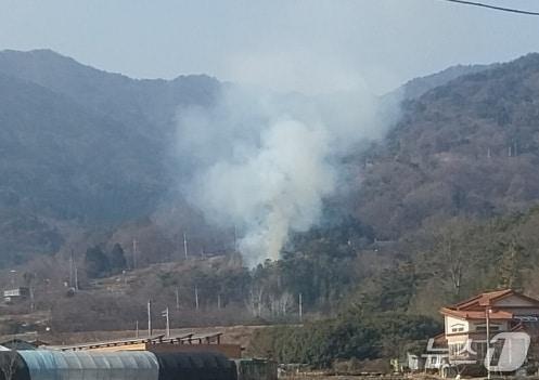 하동 산불 현장. 산림청 제공/뉴스1