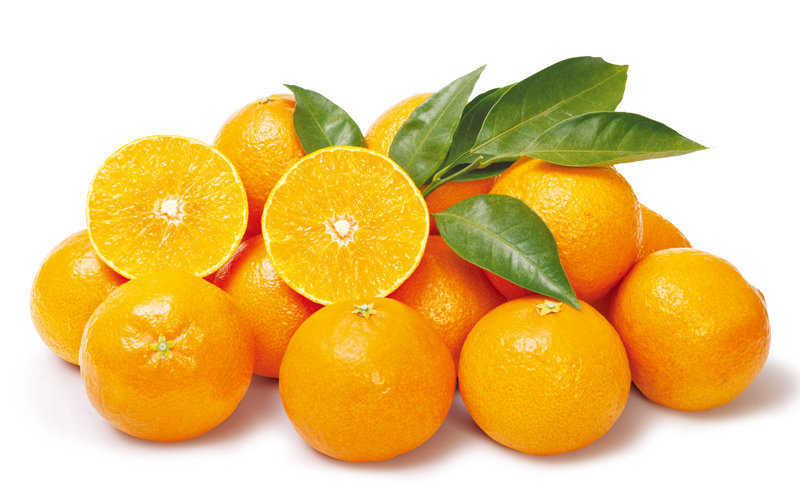 천혜향. 해당 사진들은 고래잇페스타 할인제품들의 이미지컷. 상품별 행사기간은 상이하며 조기품절 될 수있습니다. 자세한 내용은 점내 고지물 참고.